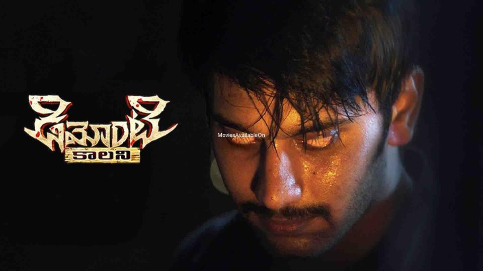 Demonte Colony