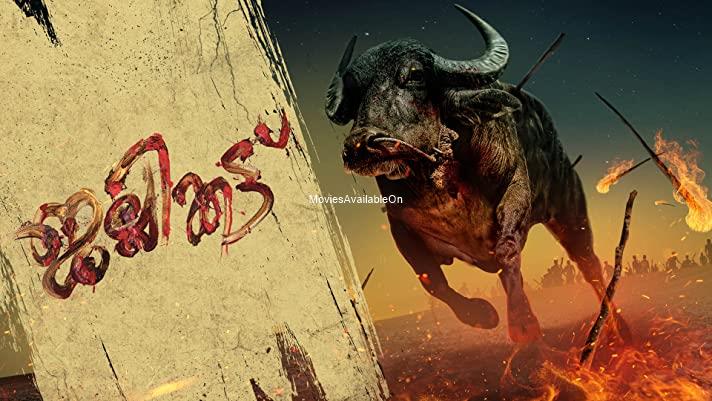 Jallikattu