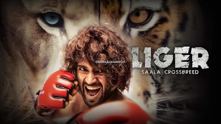 Liger - Saala Crossbreed