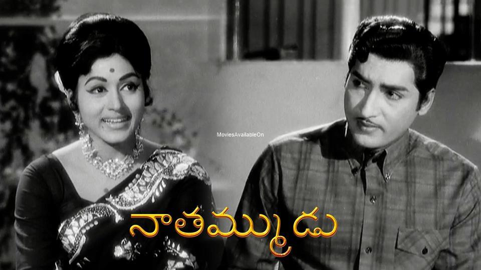 Naa Thammudu