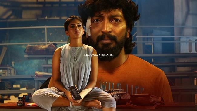 Natchathiram Nagargiradhu