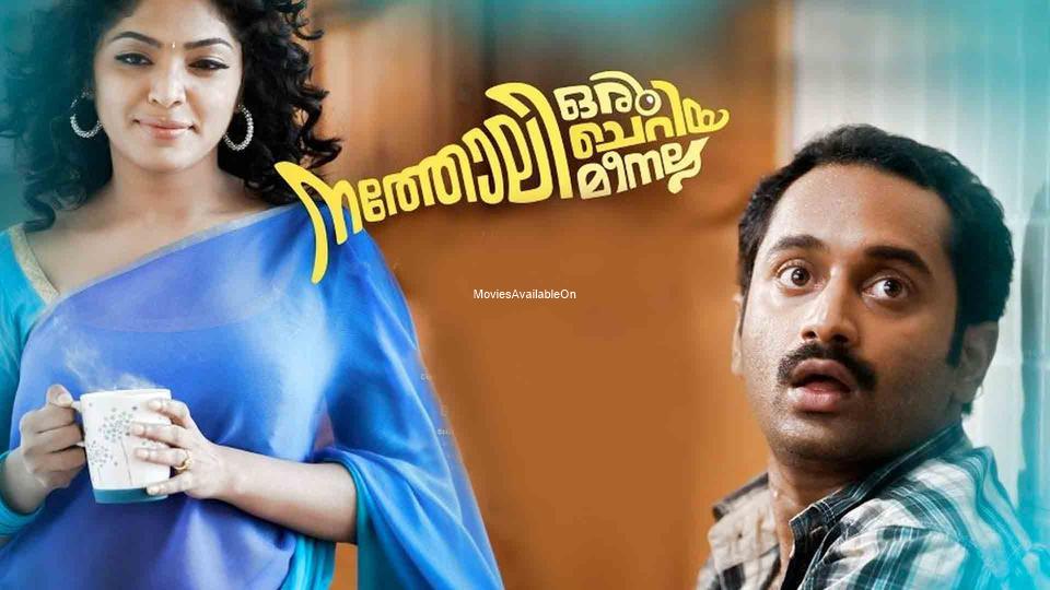 Natholi Oru Cheriya Meenalla