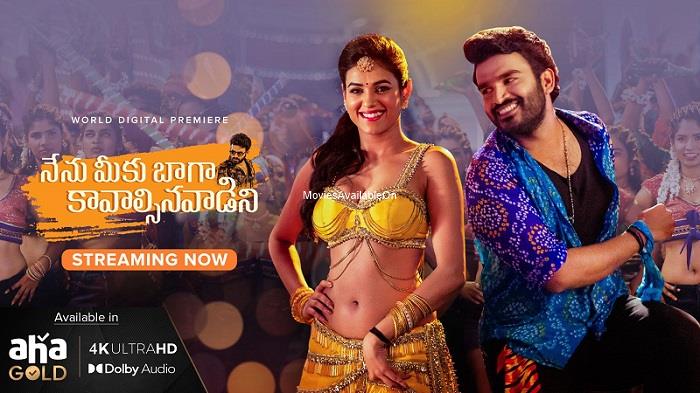 Nenu Meeku Baaga Kavalsinavaadini