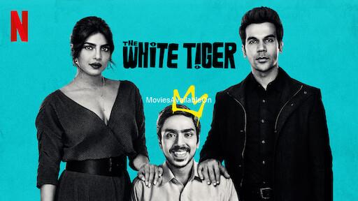 The White Tiger