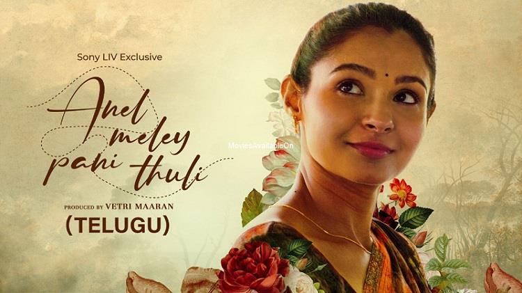ANEL MELEY PANI THULI