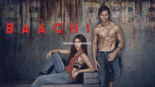 Baaghi