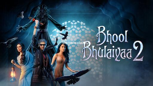BHOOL BHULAIYAA 2