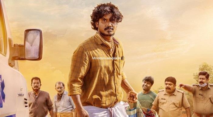 CORONA DHAVAN