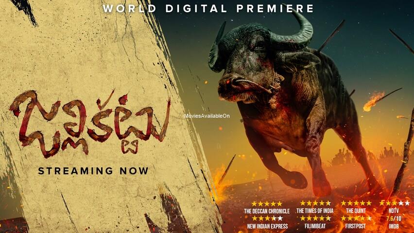 JALLIKATTU