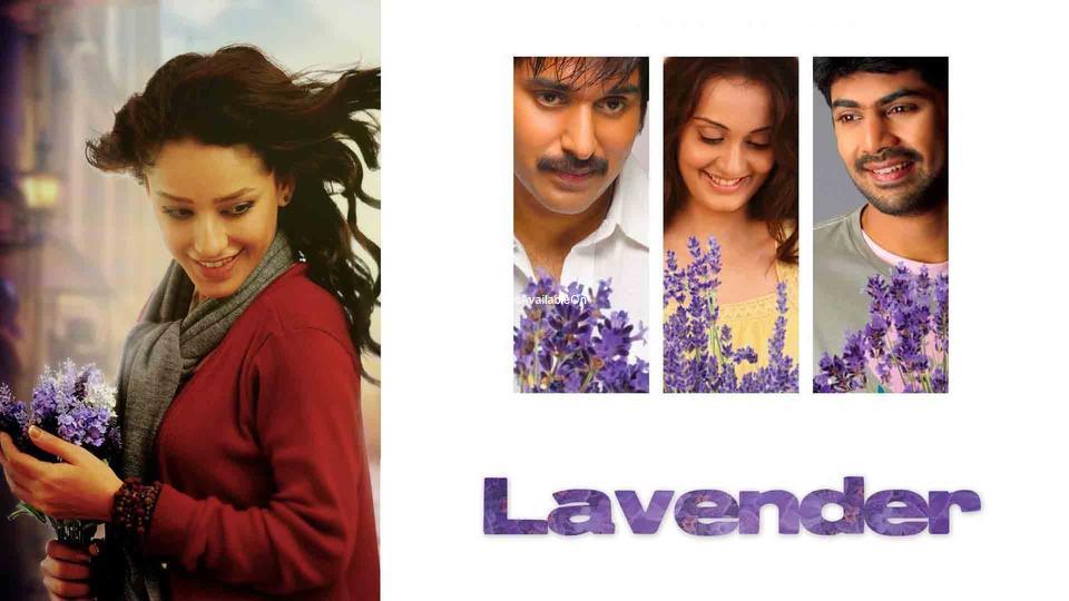 LAVENDER