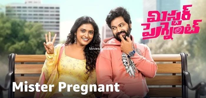MR. PREGNANT