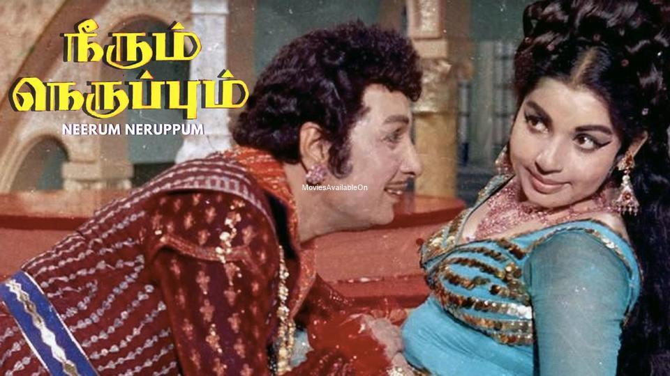 NEERUM NERUPPUM