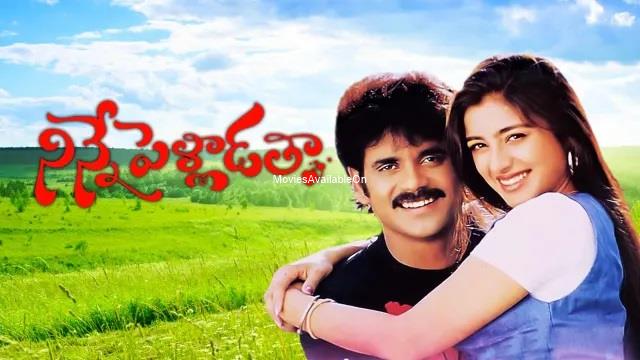 NINNE PELLADATHA