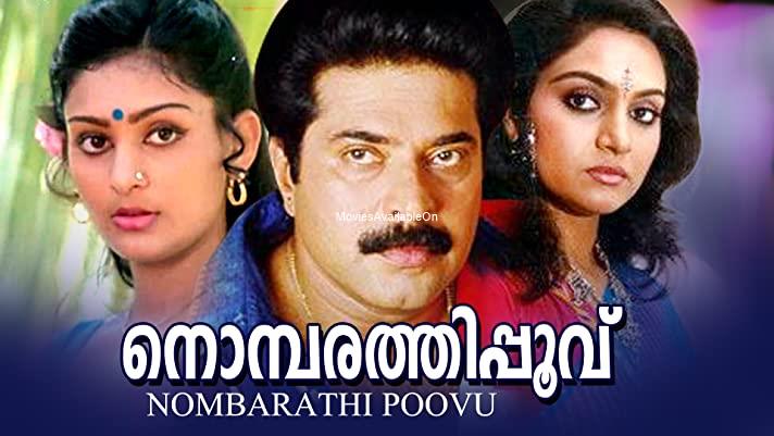 NOMBARATHI POOVU