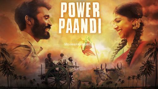 POWER PAANDI