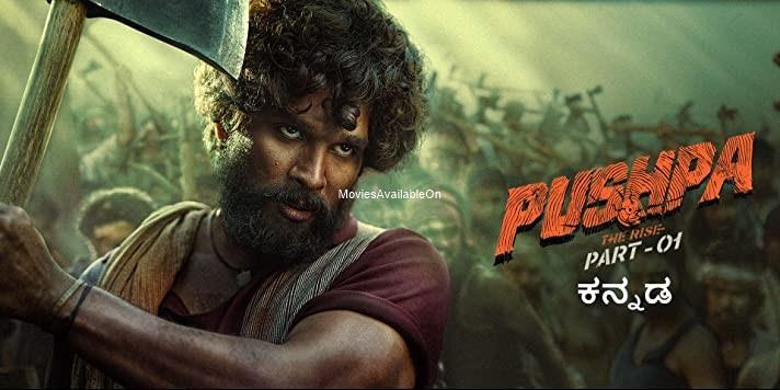 PUSHPA: THE RISE