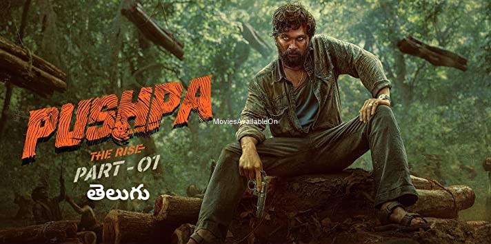 PUSHPA: THE RISE