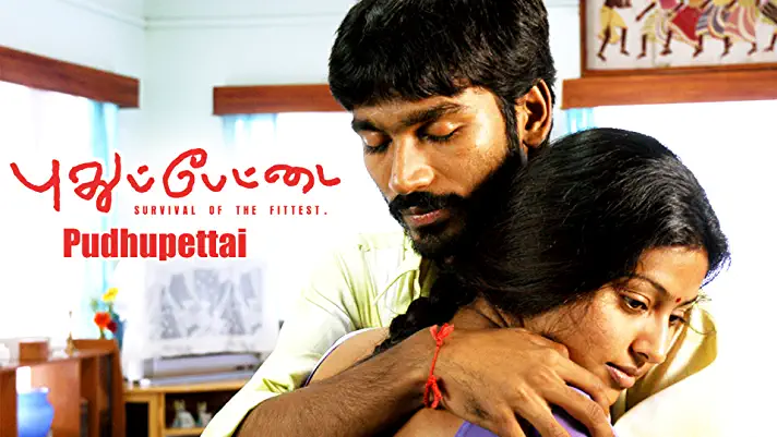 PUDHUPETTAI