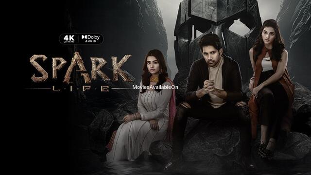SPARK L.I.F.E
